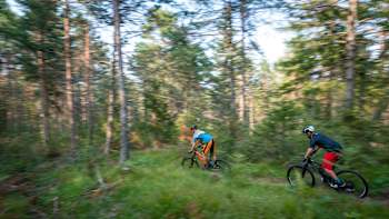 Pure Natur in Kärnten!