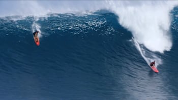 Felicity Palmateer Thumbnail