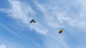 Arthur Guillebert - Red Bull King of the Air Qualifier France