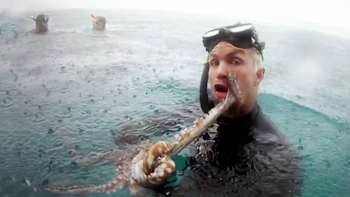 AP-1M5XY6CXS2111-featureMedia