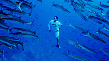 AP-1M1HM9ARD2111-featureMedia