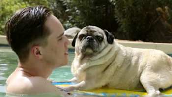 AP-1QDR18UHD2111-featureMedia