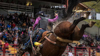 AP-1MRD4M4X51W11-featureMedia