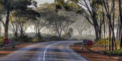 The great Australian road trip