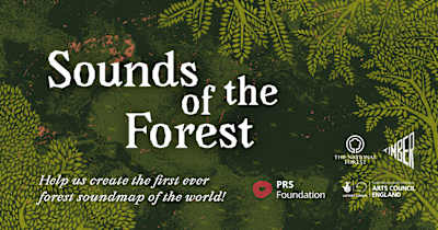 Sounds of the Forest