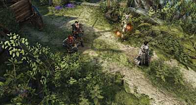 A screenshot of Divinity: Original Sin 2