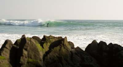 Tom Knox on his home turf