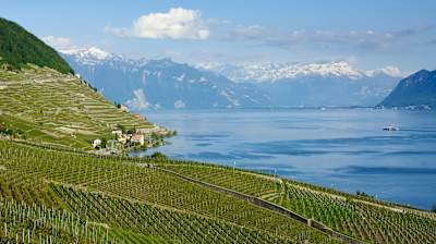 Freeride Lavaux - 1-4