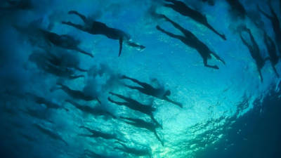 Ironman Hawaii 2014: underwater