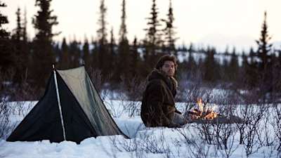 Into the Wild