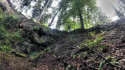 Mountain biking in the Forest of Dean
