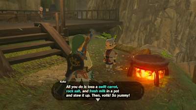 A screenshot of cooking in Zelda: Breath of the Wild