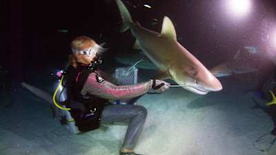 They still managed to find their food source by any means necessary.