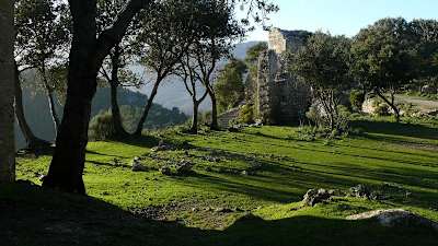 Castell d’Alaro, Majorca.