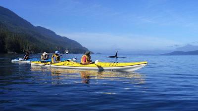 Catch up with Free Willy in Canada’s Johnstone Strait.