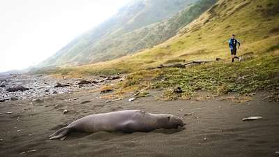 Bowman en pleine nature !