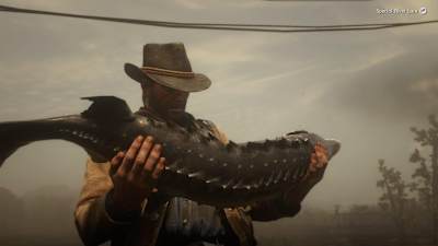 Captura de pantalla de Red Dead Redemption 2.