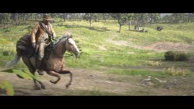 Taking it all in stride