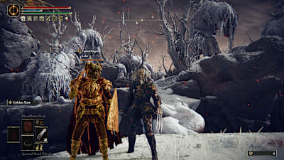 Two players stand side by side in Elden Ring, about to embark on some co-operative play.