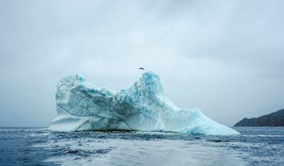 Molly Carlson s'élance du haut d'un iceberg flottant dans l'Atlantique du Nord à Terre-Neuve, au Canada, en 2026.