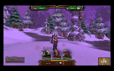 Une image du jeu vidéo de type MMORPG World of Warcraft développé par Blizzard.
