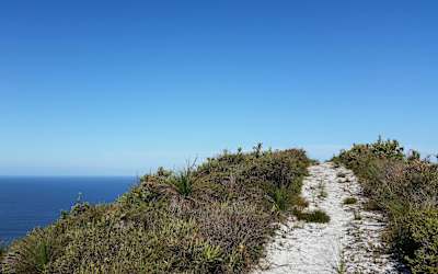 A coastal path from Terra's journey.