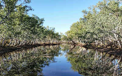 For Terra, nature has always been a second home.