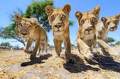 A, καλησπέρα σας...