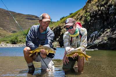 Smallmouth yellowfish in Lesotho Smallmouth yellowfish in Lesotho