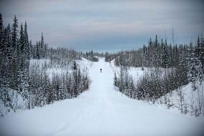 Впереди — только длинная холодная дорога