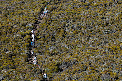 Diagonale des Fous: гонка безумцев