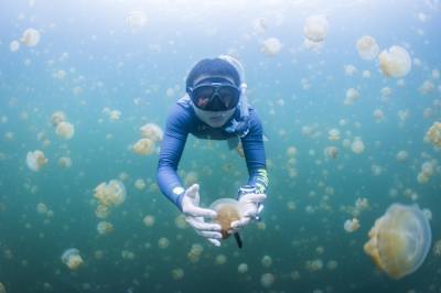 Você tocaria em uma água viva?