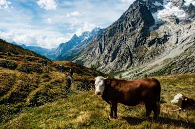 Tour de Mont Blanc