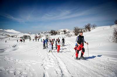 Adventure | Snowshoeing