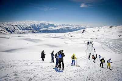 Adventure | Snowshoeing