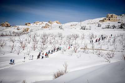 Adventure | Snowshoeing