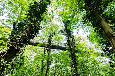 Hier entdeckst du den Wienerwald.