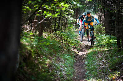 In Kärnten warten wunderschöne Wälder auf dich.