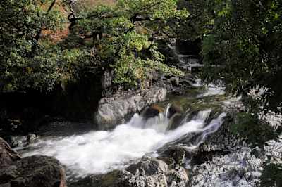 Prepare to take the plunge in Galleny Force's many pools