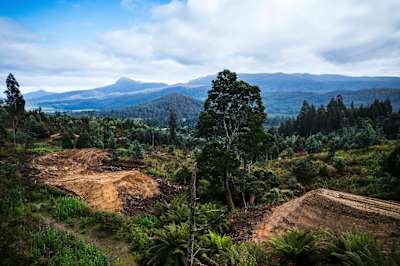 Early progress on the Red Bull Hardline Tasmania course