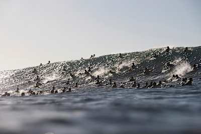 Un desconocido se zambulle