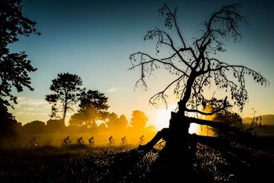 Riders al amanecer durante la carrera Absa Cape Epic Mountain Bike.