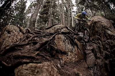 Richie Schley rides over gnarly rocks and roots.