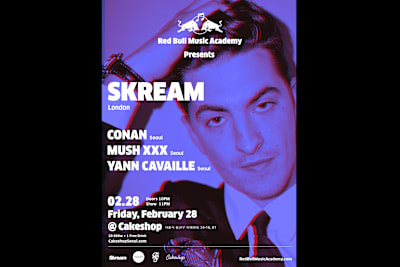 DJ Skream Poster