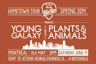 Young Galaxy and Plants & Animals