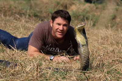 他就在你后头！史蒂夫与一条眼镜蛇亲密接触