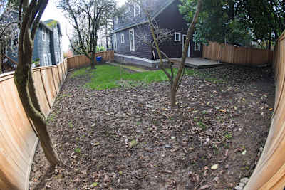 The yard: Before