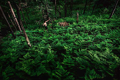 Wichtig...ist...das...Gleichgewicht Wichtig...ist...das...Gleichgewicht
