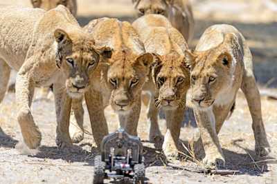 Και πάλι καλησπέρα σας...