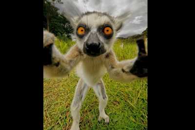 Τι είναι εκεί μέσα; Μπορώ να μπω να δω;